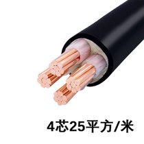 率龙电线电缆SL47国标电缆电线YJV4*25（单位：米）(默认)