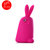 爱您纳（Aainina）苹果5/5S手机壳 可爱硅胶保护套立体兔子胖胖兔防摔壳(玫红色)