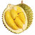 猫山王 榴莲马来西亚D197液氮整果带壳新鲜冷冻5A大树上熟榴莲(4.7斤-5.1斤（家庭满足装）)