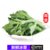 【顺丰】新鲜生吃食冰草冰菜 沙拉蔬菜生菜西餐食材水晶菜(1000g)