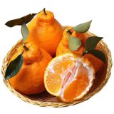 丑橘不知火新鲜水果现摘现发5斤装净重4.6-5斤(自定义 5斤装)