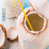 海南文昌椰子之乡特产椰子 1箱/9个 椰汁可口 椰肉鲜美 随意两吃(1箱/9个)