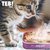 TEB汤恩贝TM系列猫罐头125g鹌鹑虾肉蛋黄成猫幼猫湿粮猫咪零食(TM9 营养九种肉猫罐125g*3 默认版本)