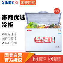 星星（XINGX）BD/BC-256E 256L 单箱变温 中央把手 白色商用柜