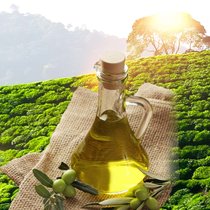 德中源山茶油套装 食用油纯茶油茶树油野茶籽油农家自榨山茶油(250mL×4瓶)