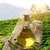 德中源山茶油 食用油纯茶油茶树油野茶籽油农家自榨山茶油(500mL×2瓶)