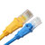 YOXUNAN御讯安 超五类 10米 超五类网络跳线(计价单位：条) 黄色,蓝色