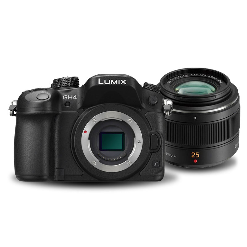 4 机身 官方标配)松下(panasonic)单电/微单相机