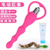 后庭震动棒电动肛门塞激情用具男用女用肛塞情趣自慰器成人性用品(电动肛塞组合11)