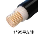 率龙电线电缆SL11国标电缆电线YJV1*95 （单位：米）(默认)