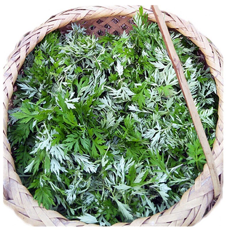 旷古农业新鲜艾草艾叶嫩艾蒿青团蒿子粑粑清明果蔬菜食材健康轻食1斤