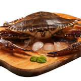 WECOOK螃蟹活蟹发出冰鲜到家包肥包鲜海鲜水产 梭子蟹 150-200克 *6