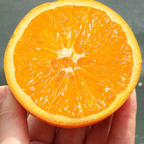 17岁的甜脐橙5斤大果70-75 细嫩多汁