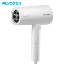 飞科(FLYCO) 电吹风机FH6276 家用负离子恒温护发静音可折叠大功率学生宿舍高速吹风筒简约白(白色 热销)