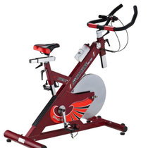 炫酷靓彩色艾威BC4800系列动感单车 健身车 脚踏车 专业健身房竞技用车高强度(红色 动感单车)