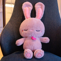 可爱小兔子公仔长耳兔娃娃毛绒玩具女生睡觉抱枕儿童玩偶生日礼物(60厘米（礼袋+挂件+香包） 睡萌兔粉色)