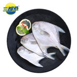 三都港东海银鲳鱼450g （3条装） 平鱼 深海鱼 海鲜水产 生鲜 鱼类 国美超市甄选