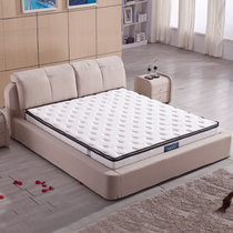 兰瑞蒂 床垫 椰棕床垫 乳胶床垫 软硬两用 席梦思床垫(椰棕弹簧床垫 1.8*2m)