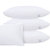 帝堡龙DIBAOLONG轻奢床上用品 五星级酒店全棉枕头 健康舒适单双人枕芯(1 默认)