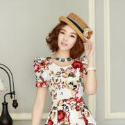2013春夏新款女装韩版女装印花双层下摆收腰修身泡泡袖连衣裙(白色 XL)
