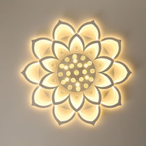 后现代花形花朵客厅圆形led吸顶灯卧室办公室会议室吸顶灯双色变光可遥控奢华水晶灯DG1820(1m 暖光)