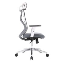 云艳YY-LCL1305 电脑椅人体工学椅家用办公护腰椅子转椅可躺-灰色(默认 默认)