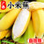 广西香蕉新鲜小米蕉香芭蕉(5斤)