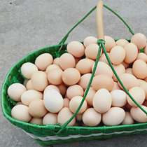 正宗土鸡蛋农家生态新鲜纯农村散自养天然10枚草鸡柴鸡蛋本笨鸡蛋