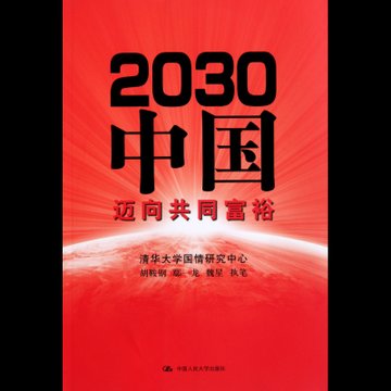 2030中国(迈向共同富裕)