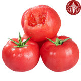 一乡一品普罗旺斯番茄  5斤装  沙瓤多汁皮薄肉厚  肉质鲜嫩  新鲜健康轻食水果番茄  A0423(规格 5斤)