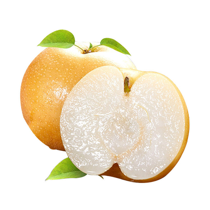 正宗山东莱阳老树秋月梨脆甜多汁精选果(6粒(单果3