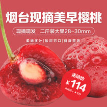 山东省烟台市原产地新鲜水果美早车厘子樱桃直径28-30mm（10-12克）2斤装 顺丰包邮(红色 2斤装)