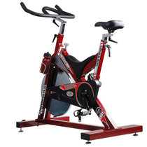 艾威健身车 动感单车BC4650 家用健身车 脚踏车 室内静音动感单车(红色 动感单车)