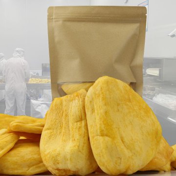 越南进口料产菠萝蜜干脱水水果干休闲零食即食儿童