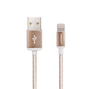 品胜（PISEN）双面USB数据线 Apple Lightning数据充电线 正反面可用 苹果数据线 苹果充电线(香槟金 1000mm)