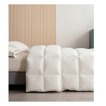 金思丹博 羽绒被保暖舒适双人被子 适用1.2、1.5、1.8米床(白色)