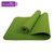 爱玛莎瑜伽垫tpe加厚健身垫防滑瑜珈环保瑜伽毯加长垫子IM-YJ08(绿色)
