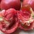 5斤山东普罗旺斯番茄水果西红柿新鲜蔬菜农家自然熟沙瓤生吃食用(3斤装【蜜蜂授粉西红柿】)