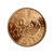【珍源藏品】中国珍稀动物纪念币 动物纪念币 流通纪念币 1996年白暨豚和华南虎纪念币(1993年大熊猫纪念币单枚)