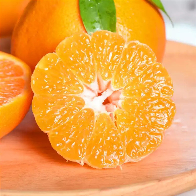 桔橘四川青见果冻橙手剥柑橘子5斤8斤产地直发新鲜水果8斤中果约2426
