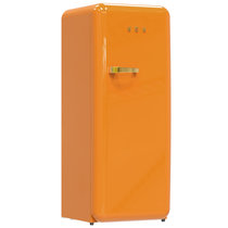 HCK哈士奇 281L 烤漆复古冰箱 家用单门独立冷冻冷藏 BC-330RDE 橘猫橙