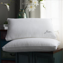罗曼罗兰ROMROL 枕头 生态大豆枕立体包边大豆纤维枕芯 舒适护颈枕单只装 米白48*74cm