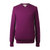 Burberry男士紫色圆领羊绒针织衫毛衣 3903183M码紫色 时尚百搭
