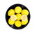 （限量2000件）四川特产精选黄柠檬2斤/3斤包邮 产地直发 新鲜多汁(柠檬-2斤)