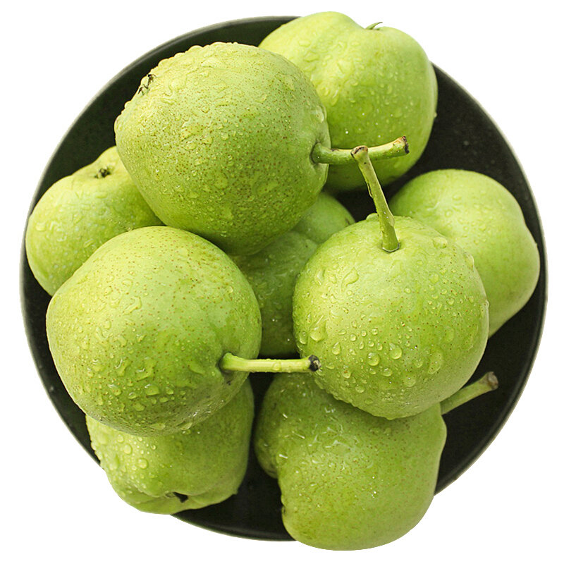 陕西早酥梨5斤装单果120g起新鲜应季水果