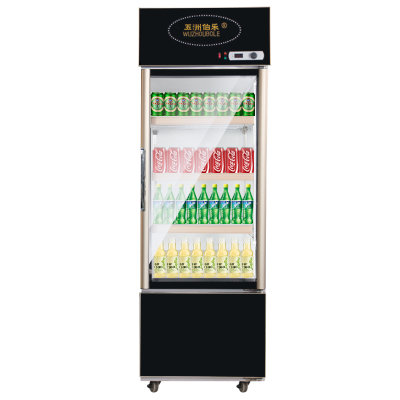 五洲伯乐LCD-380下冷冻上冷藏展示保鲜立式柜啤酒冰柜