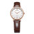 罗西尼(ROSSINI)手表典美时尚系列腕表 简约轻薄防水石英表钢带女士手表白盘女表817728(棕色皮带)