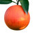 四川资中塔罗科香甜血橙3斤小果约15-20个左右新鲜水果橙子现摘现发（新疆、西藏、内蒙、海南不发货）