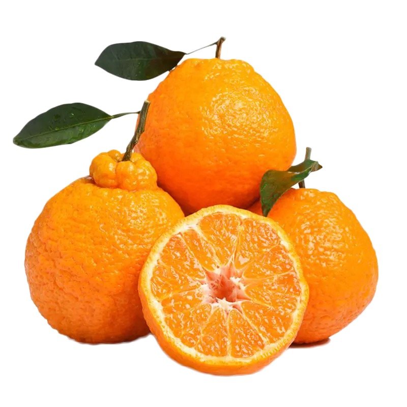 丑橘不知火39斤新鲜水果四川浦江丑橘不知火柑橘桔子生鲜9斤