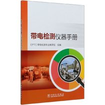 带电检测仪器手册